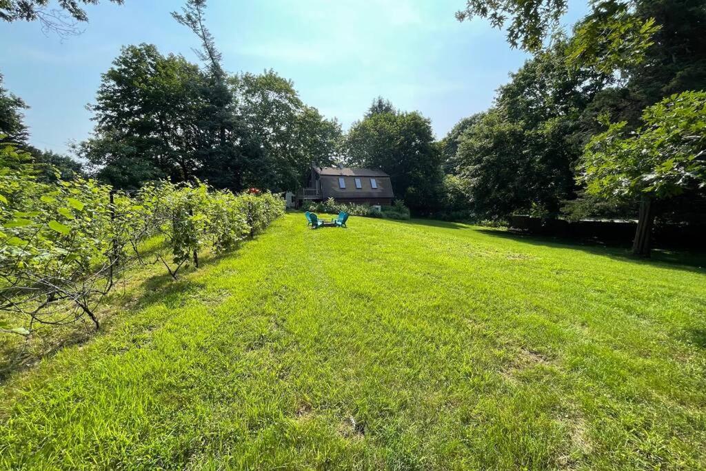 Newly Renovated Carriage House Near Town & Beaches Madison Exterior foto